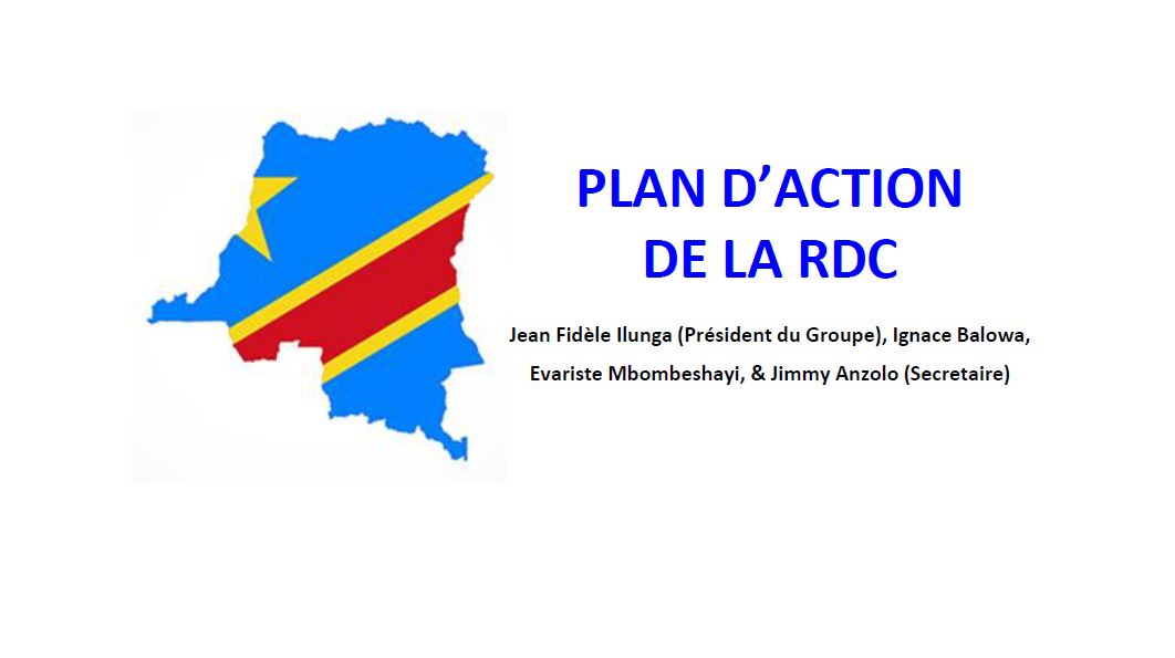 Photo: Plan d'action national pour la RDC_INS Workshop_11.2.2018