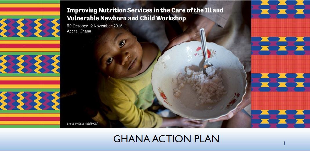 Photo: Plan d'action pour le Ghana_INS Workshop_11.2.2018