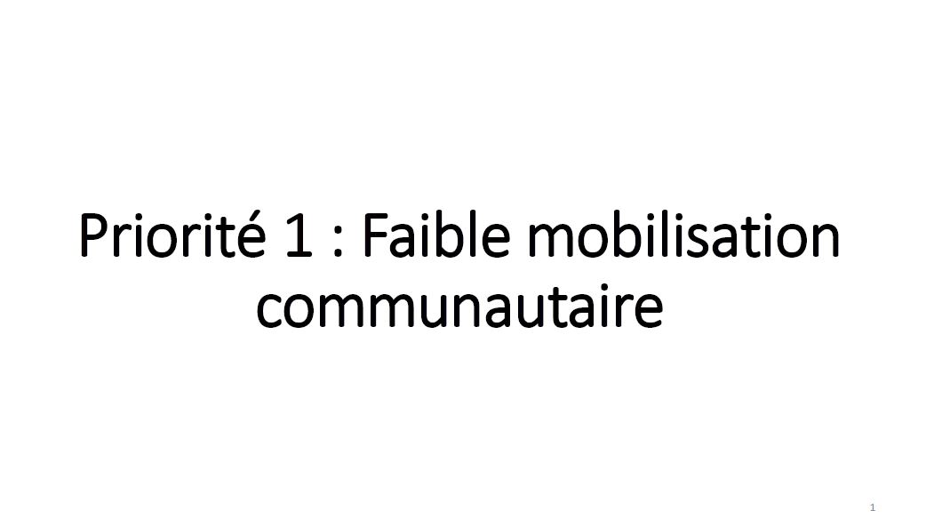 Photo: Plan d'action pour le Mali_French_INS Workshop_11.2.2018