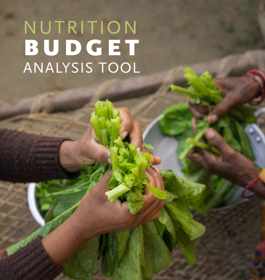 Photo: SPRING_Nutrition Budget Analysis Tool_2nd Edition_4.2018 cover