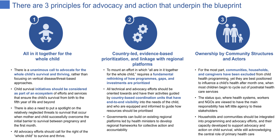 Graphic showing 3 principles for advocacy and action that underpin the blueprint