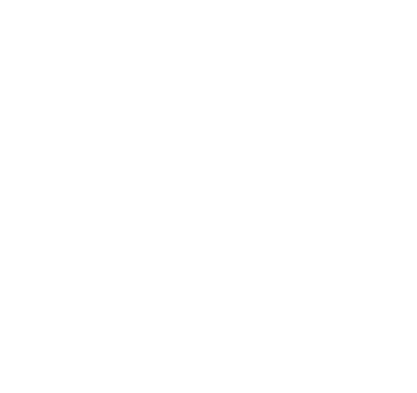 Mégaphone