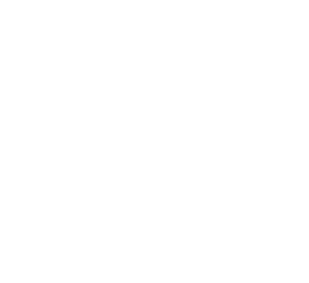 Icône de caméra de sécurité vidéo
