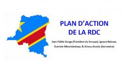 Photo: Plan d'action national pour la RDC_INS Workshop_11.2.2018