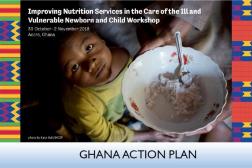 Photo: Plan d'action pour le Ghana_INS Workshop_11.2.2018