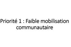 Photo: Plan d'action pour le Mali_French_INS Workshop_11.2.2018