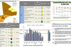 Photo: Plan d'action pour le Mali_INS Workshop_11.2.2018
