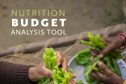 Photo: SPRING_Nutrition Budget Analysis Tool_2nd Edition_4.2018 cover