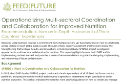 Photo: SPRING_Operationalizing Multi-Sectoral Coordination and Collaboration for Improved Nutrition_11.2016