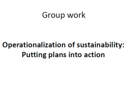 Vignette du travail de groupe: Opérationnalisation de la durabilité - Réunion de diffusion des résultats du RAcE