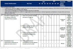 Photo of workplan matrix.